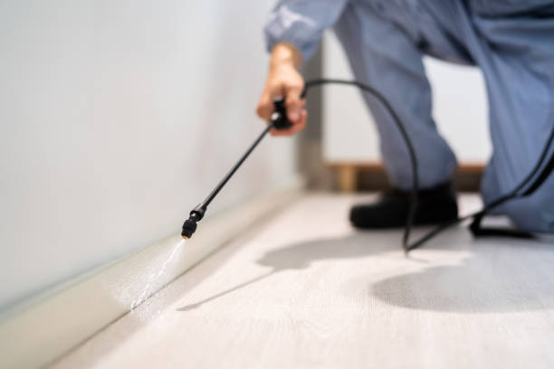 Licensed Ant Control service in Rock County County, WI - Nex Pest Control