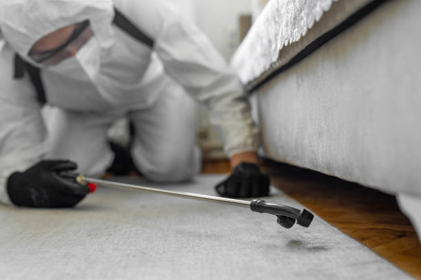 Professional Ant Control technician working in Rock County County, WI